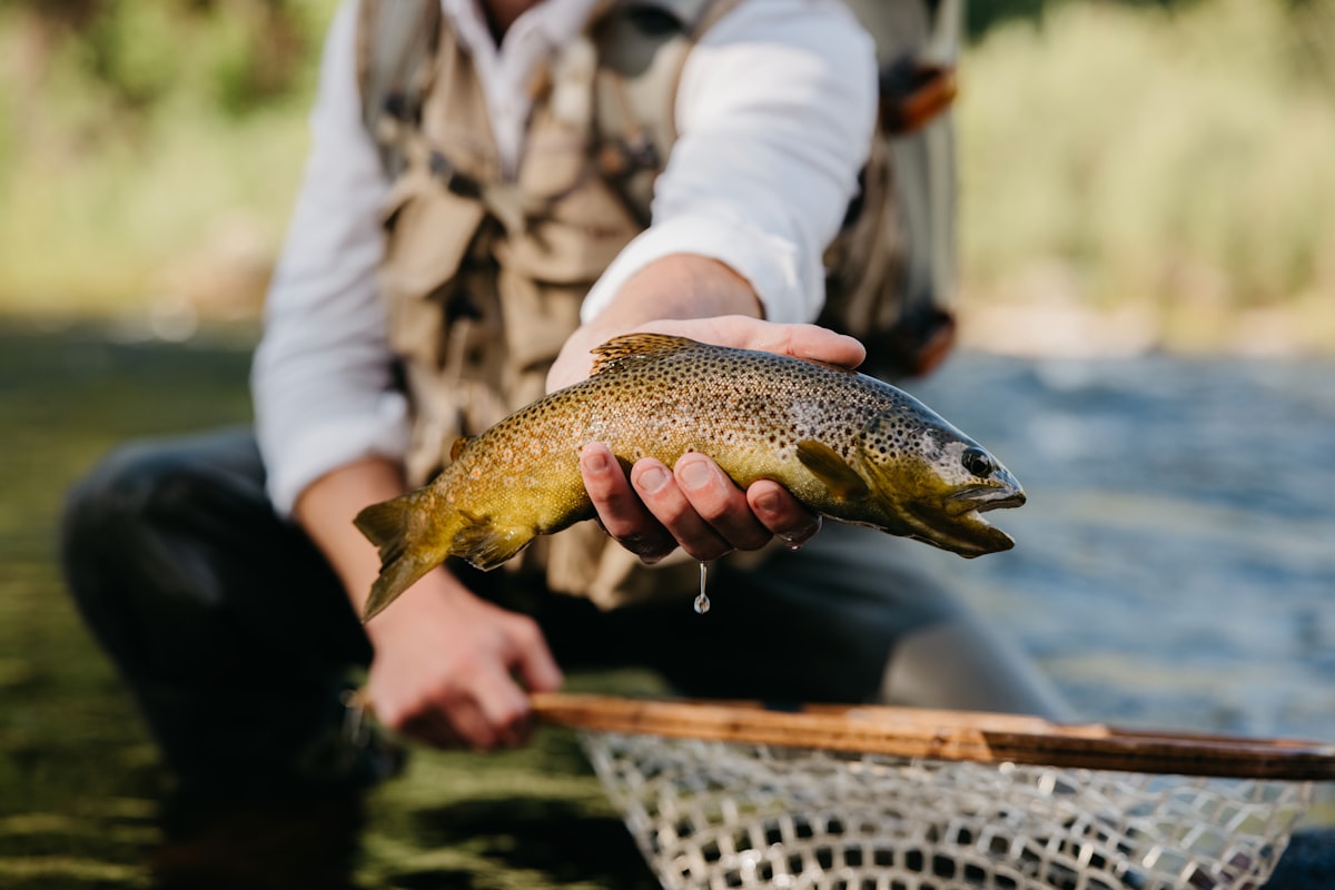 Angler holding rainbow trout caught fly fishing in Colorado river